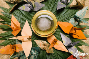 FLOWER SUMMIT Elderflower Oolong